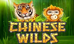 Chinese Wilds tại OK9